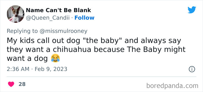 Kids-Realizing-Their-Cats-Dogs-Are-Pets-Not-Humans