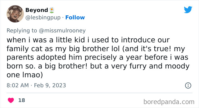 Kids-Realizing-Their-Cats-Dogs-Are-Pets-Not-Humans