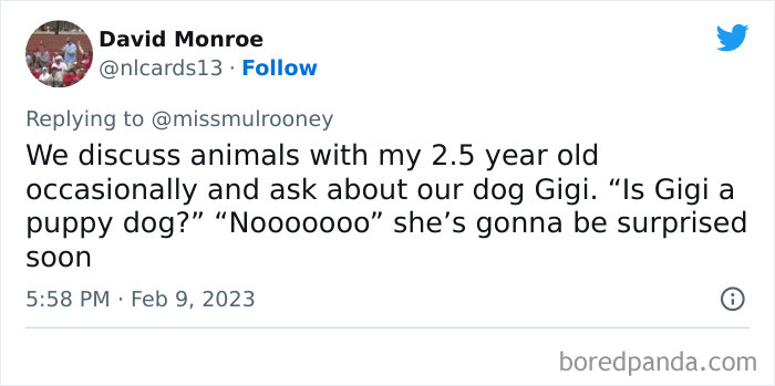 Kids-Realizing-Their-Cats-Dogs-Are-Pets-Not-Humans