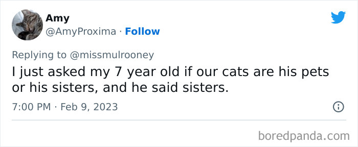 Kids-Realizing-Their-Cats-Dogs-Are-Pets-Not-Humans