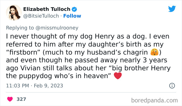 Kids-Realizing-Their-Cats-Dogs-Are-Pets-Not-Humans