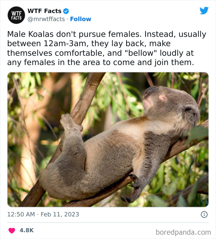 Interesting-Random-Facts