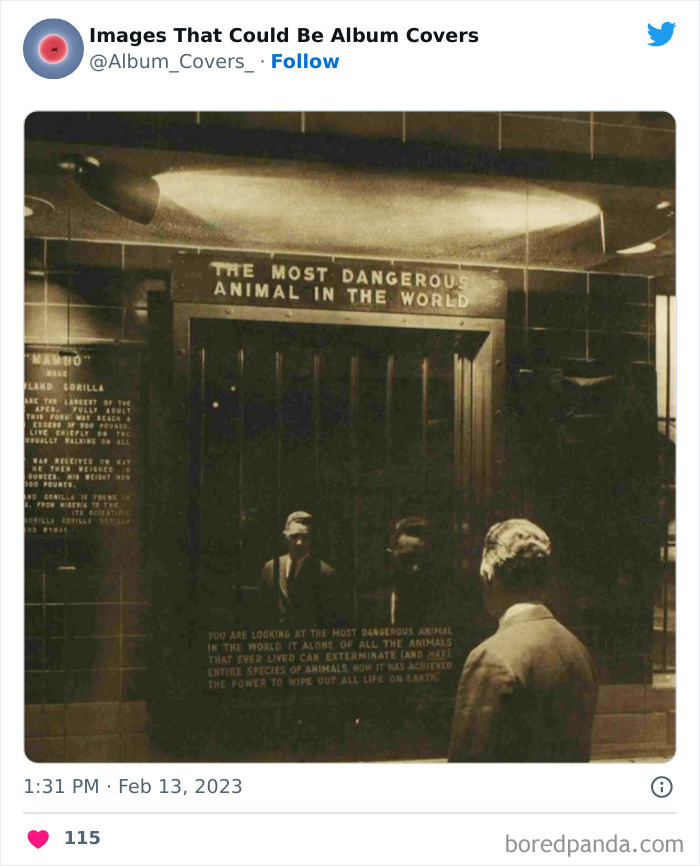 Beautiful-Images-That-Could-Be-Album-Covers