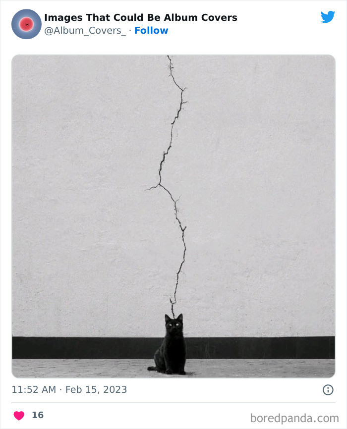 40 Images That Are So Cool And Unusual They Could Totally Work As Album Covers