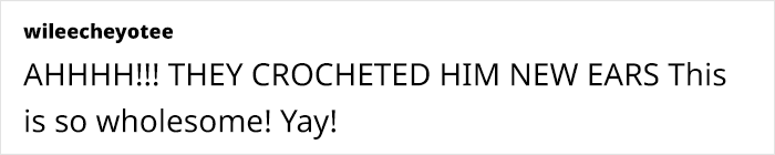 This Dog&rsquo;s New Crocheted Ears Gained Him Attention Online That Sped Up His Adoption