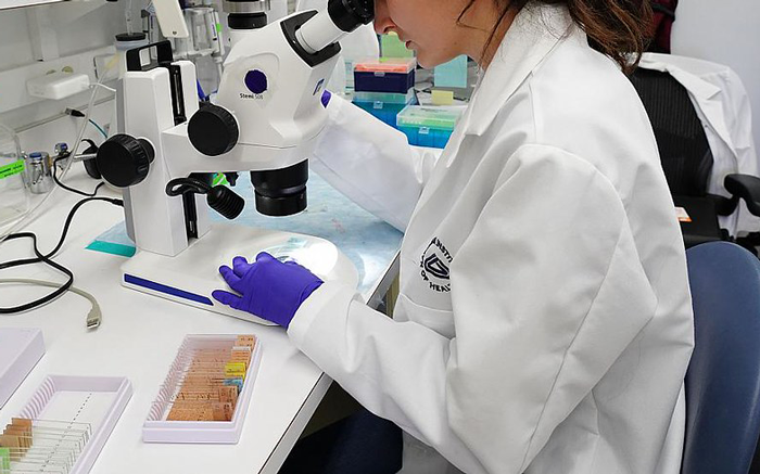 Med Students Are Told To Skip Lunchtime By Teaching Staff, Make Joint Decision Not To Follow These Demands, Get Reported To The Dean