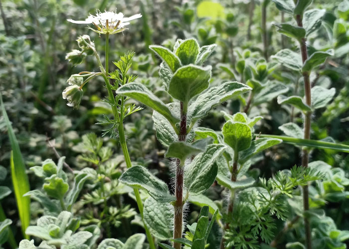 30 People Share Unexpected Food Facts That May Satisfy Your Appetite For Knowledge