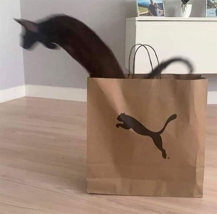 This Facebook Page Shares Images And Memes That Are Full Of Hilarious And Bizarre Things, Here Are 50 Of The Best Ones