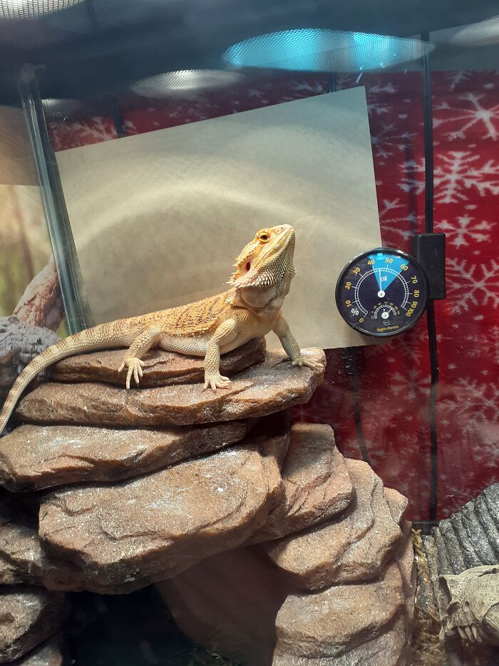 She's The Queen Of The World!!!