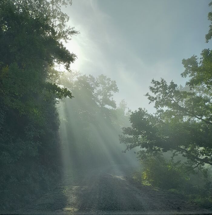 Tyndall Effect On Late Summer Morning In The Garden