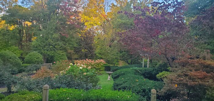 A Park In Cincinnati