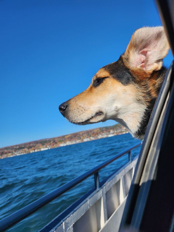 River On A Ferry Ride