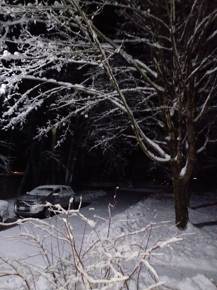 Calm After A Ice/Snow Storm