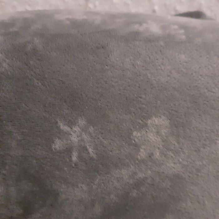 Rat Paw Print On Velvet Sofa Cover