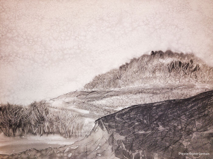 I Create Paintings With Charcoal And Salt And The Result Is Whimsical (18 Pics)