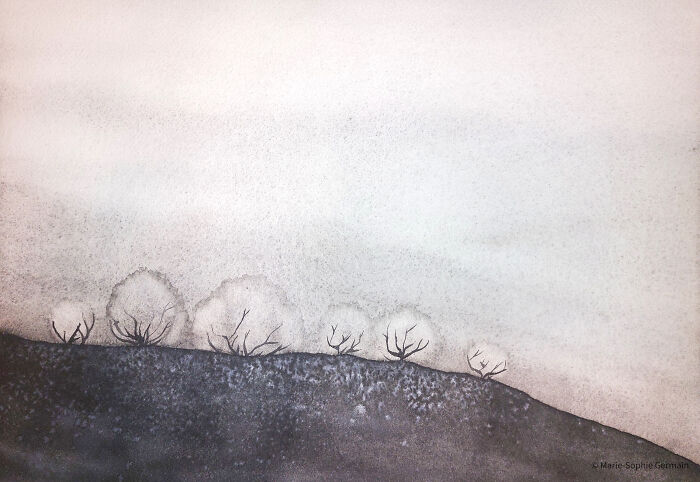 I Create Paintings With Charcoal And Salt And The Result Is Whimsical (18 Pics)