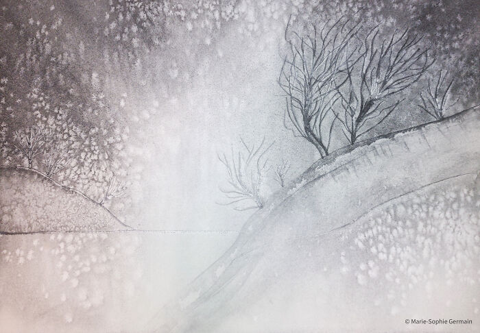 I Create Paintings With Charcoal And Salt And The Result Is Whimsical (18 Pics)