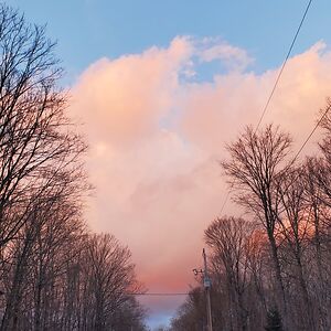 avabreckenridge485 avatar