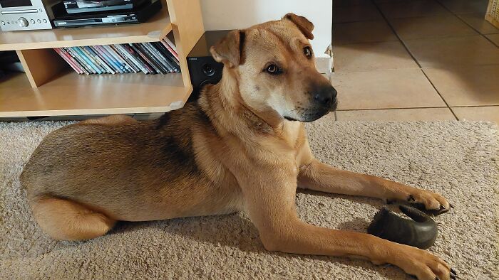 This Beautiful Girl Makes Every Day So Much Better