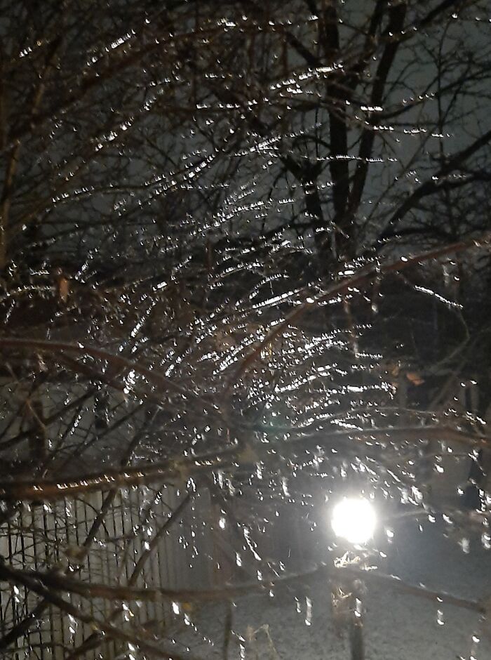 It's Freezing Rain Instead Of Snowing!