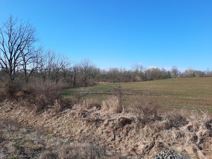 Sunny, Windy And 46 F (About 8 C). Beautiful Day For A Bike Ride