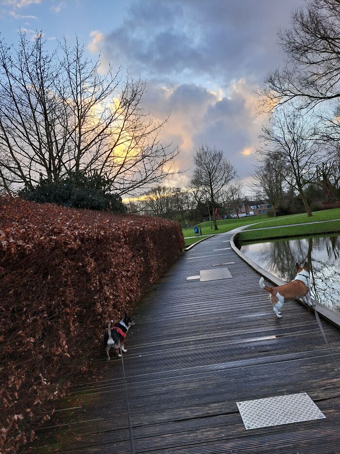 Windy Days In Friesland, The Netherlands