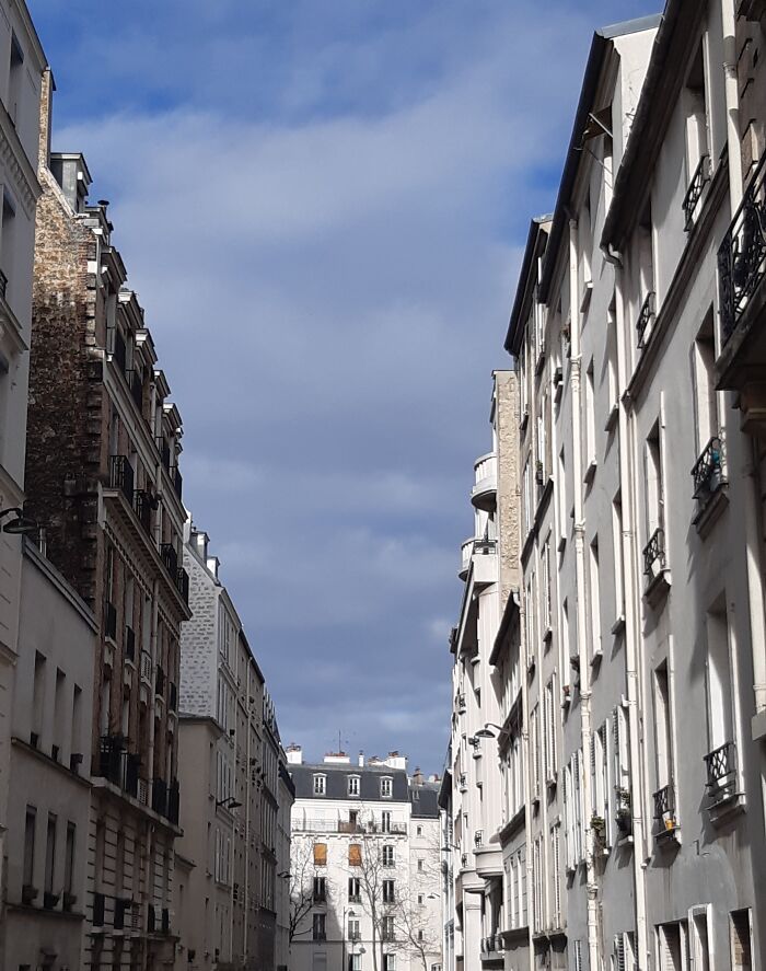 Cold And Dry Winter Day In Paris