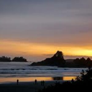 mariesoleil86 avatar