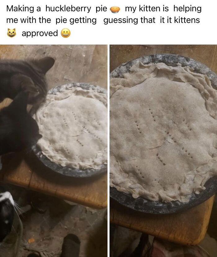 Disgusting-Food-Pics-Why-Dont-Do-Potlucks