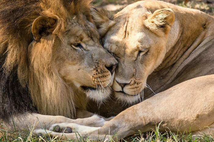 Somebody Asked Men Online “What Male Stereotypes Don’t Apply To You?”, 33 Delivered 