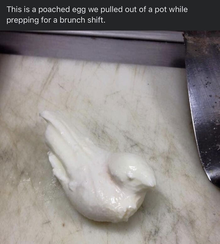 Disgusting-Food-Pics-Why-Dont-Do-Potlucks