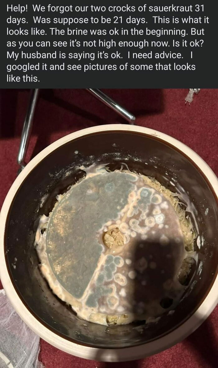 Disgusting-Food-Pics-Why-Dont-Do-Potlucks