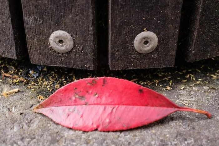 This Belgian Photographer Captures Funny And Extraordinary Scenes Of Everyday Life (30 New Pics)