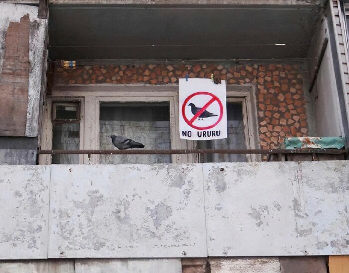 Funny-Pic-Trashandculture