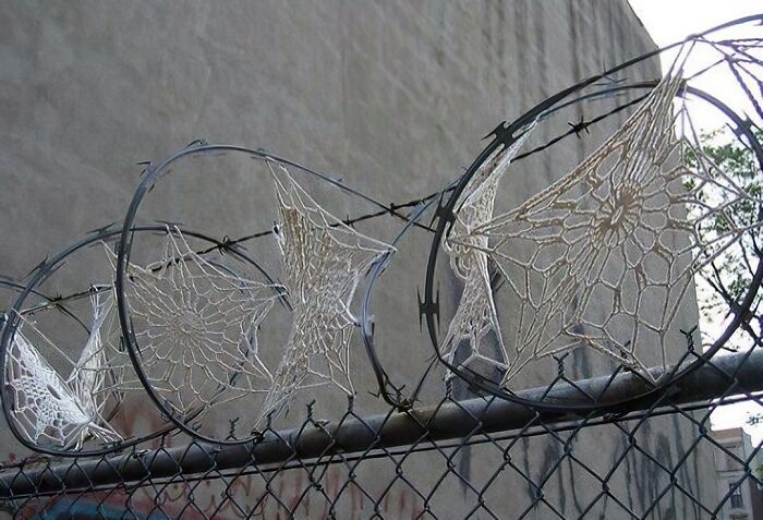 Funny-Pic-Trashandculture