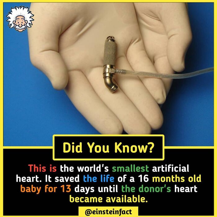 Interesting-Facts-Einsteinfact