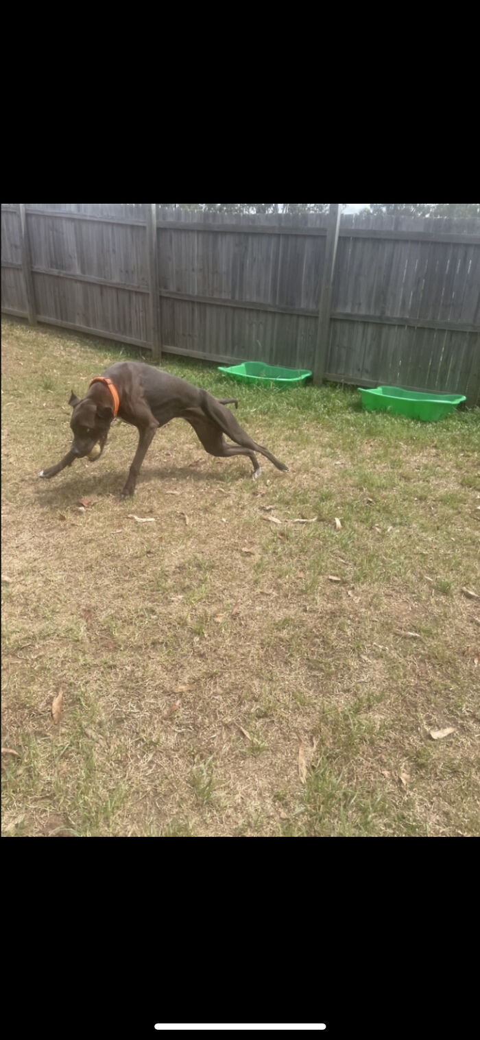 It’s Getting The Ball Back That’s The Problem