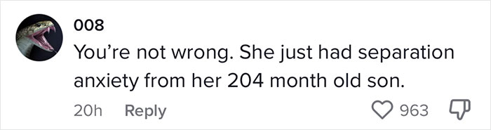"He's An Adult": Woman Refuses To Give Up Her Plane Seat For Passenger's 6&prime;4&Prime; Son, Mother's Behavior Leads To An Awkward Flight