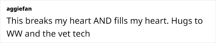 This Dog&rsquo;s New Crocheted Ears Gained Him Attention Online That Sped Up His Adoption