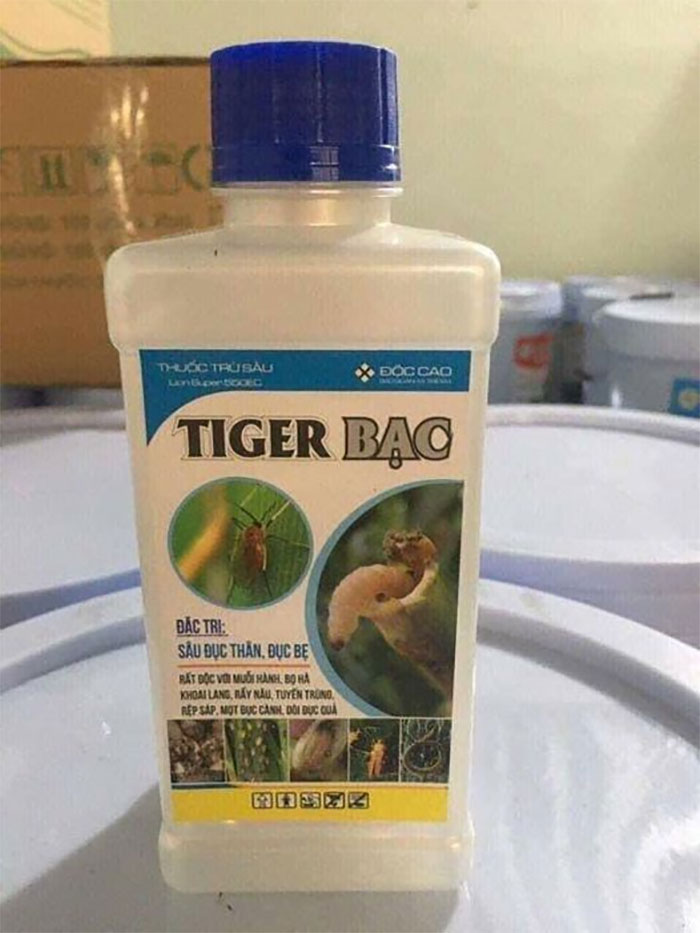 Memes-With-No-Context