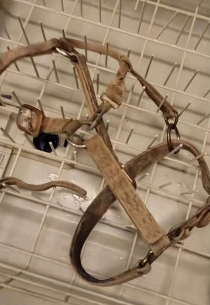 Disgusting-Food-Pics-Why-Dont-Do-Potlucks