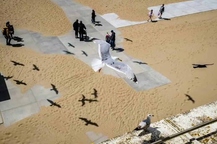 This Belgian Photographer Captures Funny And Extraordinary Scenes Of Everyday Life (30 New Pics)