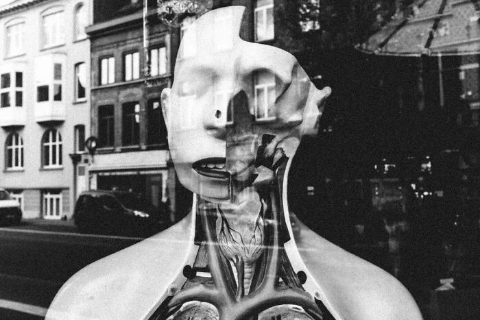 This Belgian Photographer Captures Funny And Extraordinary Scenes Of Everyday Life (30 New Pics)