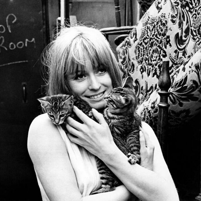 During The Filming Of The Movie "Up The Junction" In 1968, British Actress Suzy Kendall Managed To Get Some Cuddles From These Two Tabbies