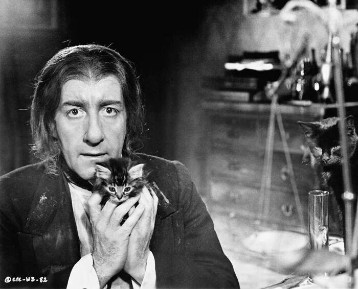 This Is A Photo Of British Actor And Comedian Peter Sellers During The Filming Of The Movie "The Wrong Box" (1966), And There Are Two Cats Hidden In The Picture For Viewers To Find