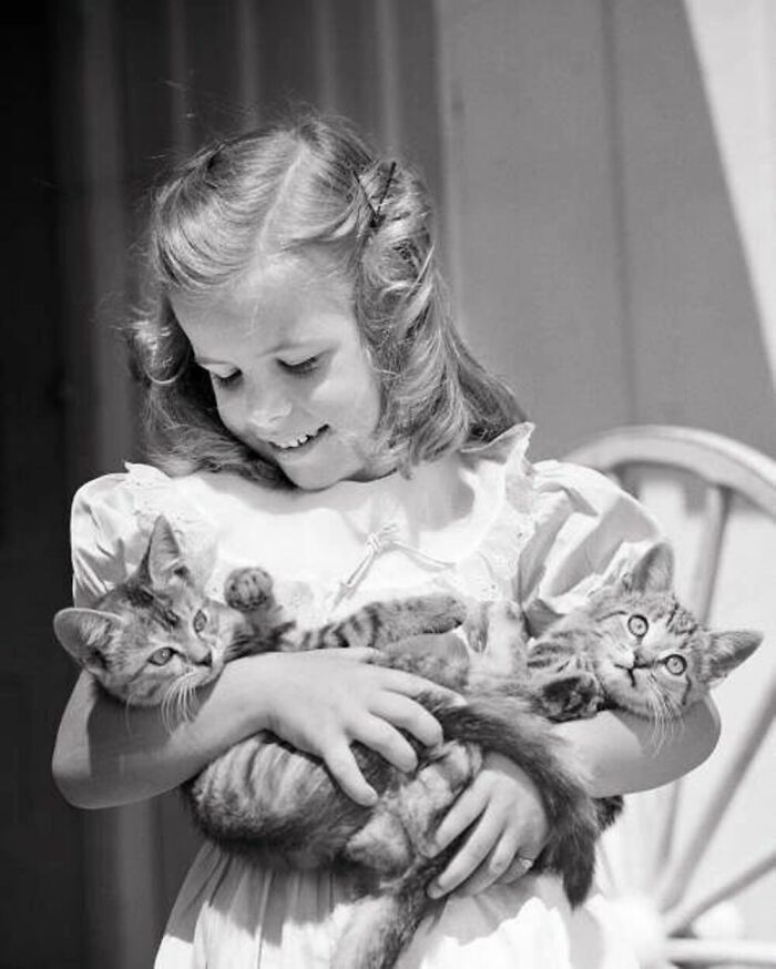 If There Is One Thing Every Child Should Be Exposed To Early On, It Is Our Beloved Felines. We Would Be Better Human Beings, More Patient And Less Selfish. Photo From The 1950s