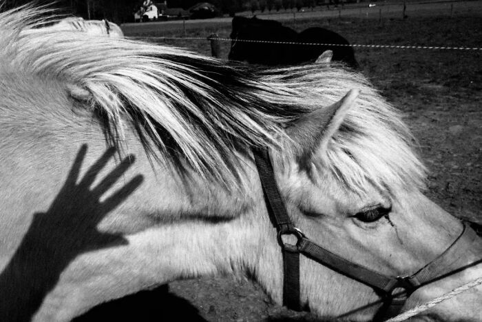 This Belgian Photographer Captures Funny And Extraordinary Scenes Of Everyday Life (30 New Pics)