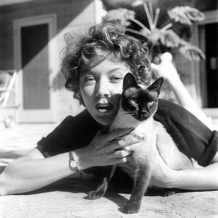 It Looks Like The American Actress And Singer Gloria Grahame Was Teaching This Cat How To Make A "Face" For The Photo. And It Worked, Didn't It? Shot Taken Around 1954