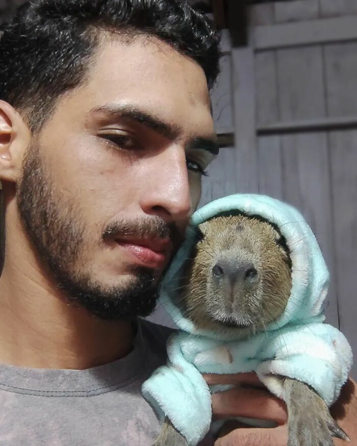This Man From Brazil Who Lives On A Farm Shares A Beautiful Bond With A Rescued Capybara