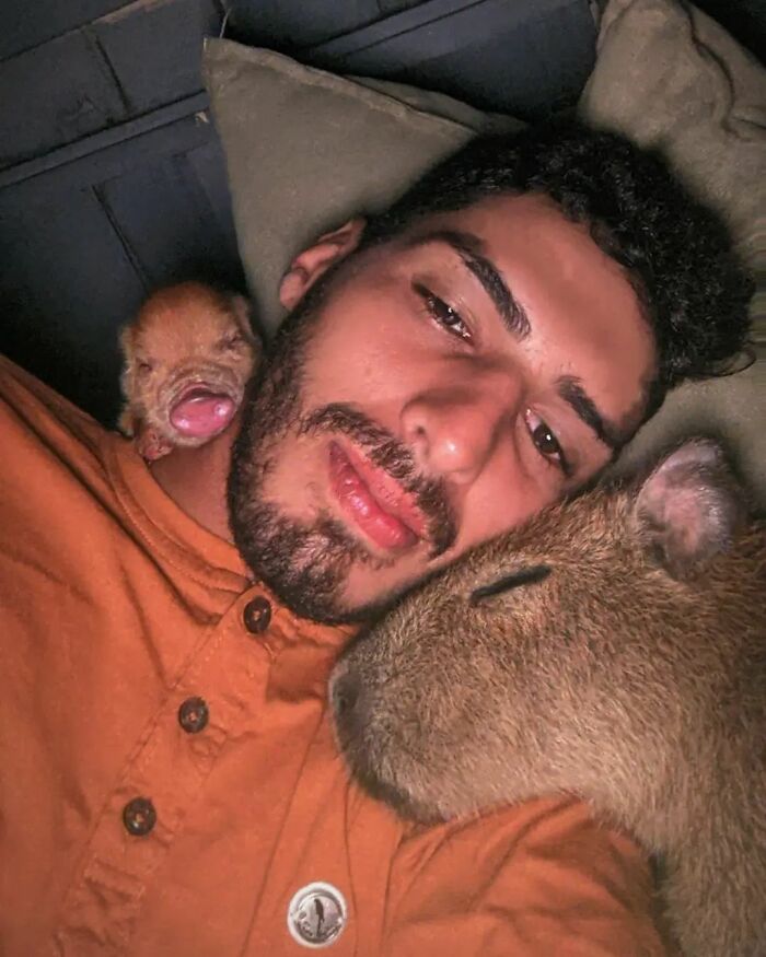 This Man From Brazil Who Lives On A Farm Shares A Beautiful Bond With A Rescued Capybara